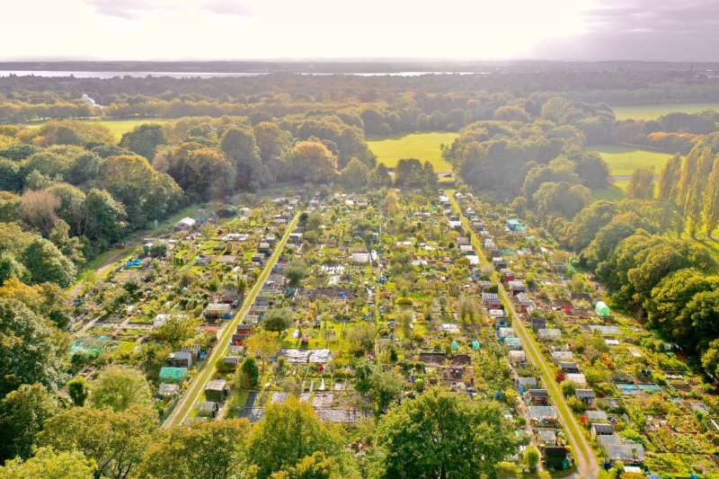 Sefton Park Allotments